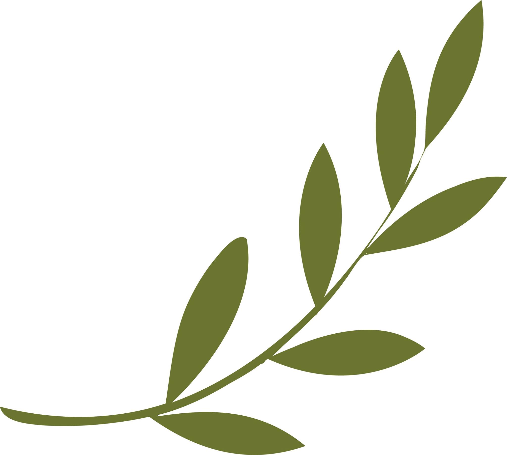 free clip art olive leaf - photo #14