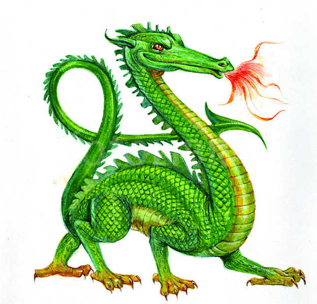 Green dragon clipart dragon