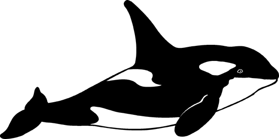Orca Clip Art - Tumundografico