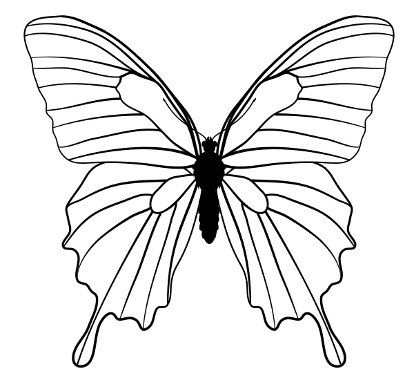 Cute Butterfly Line Drawing