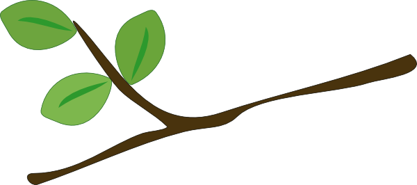Branch of tree clipart