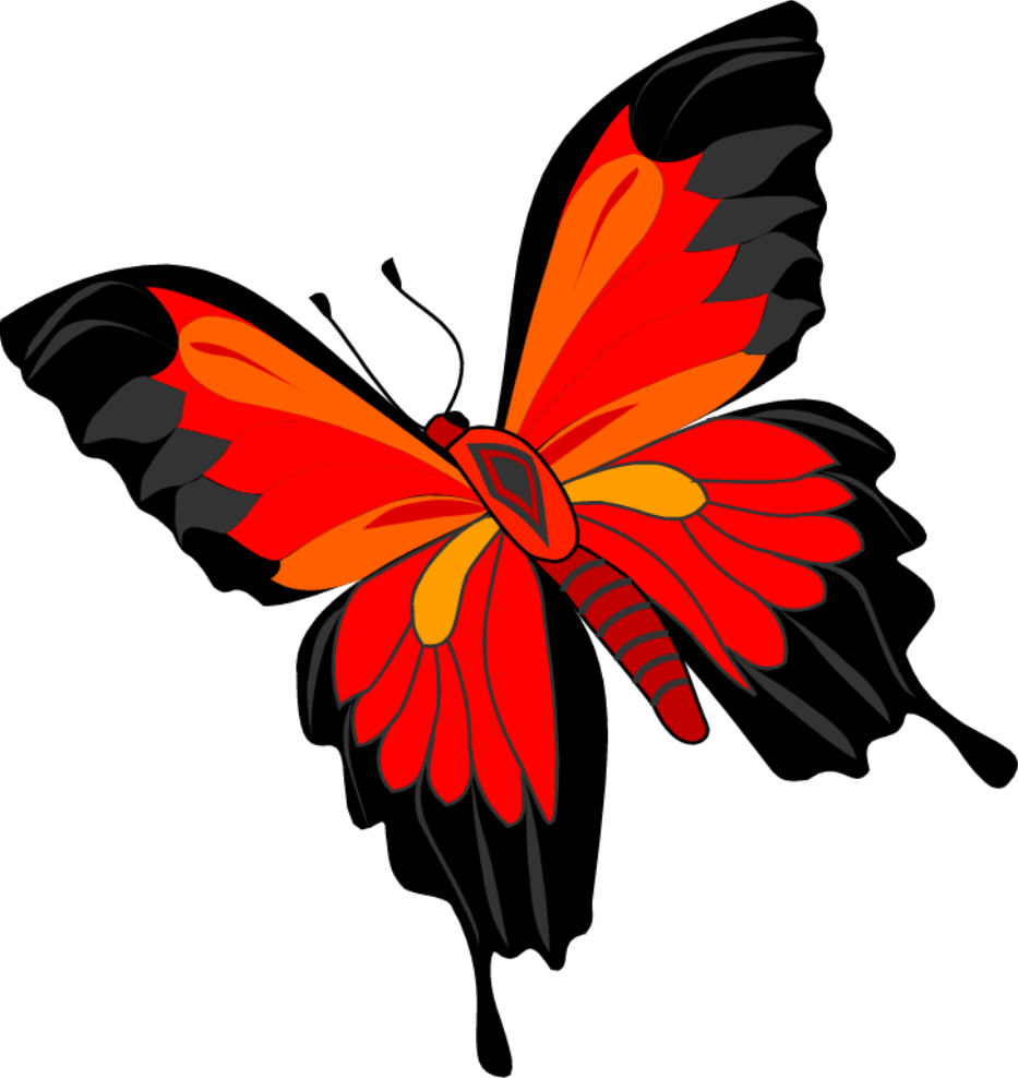 Pictures Of Red Butterflies - ClipArt Best
