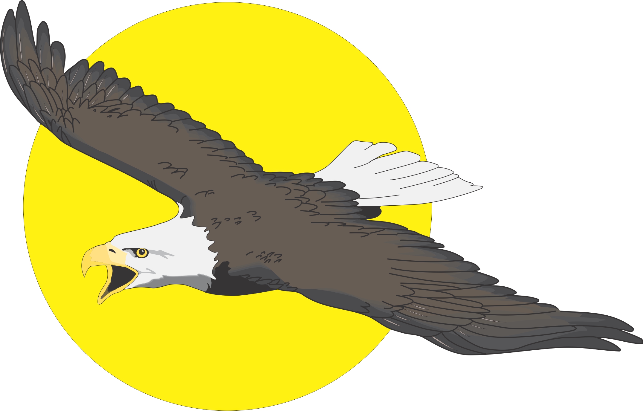 flying eagle clip art free download - photo #19