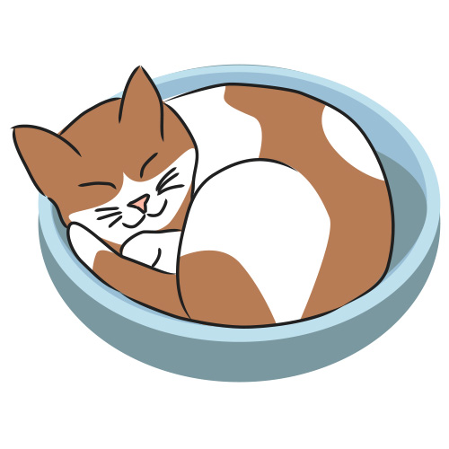clipart cat bed - photo #21