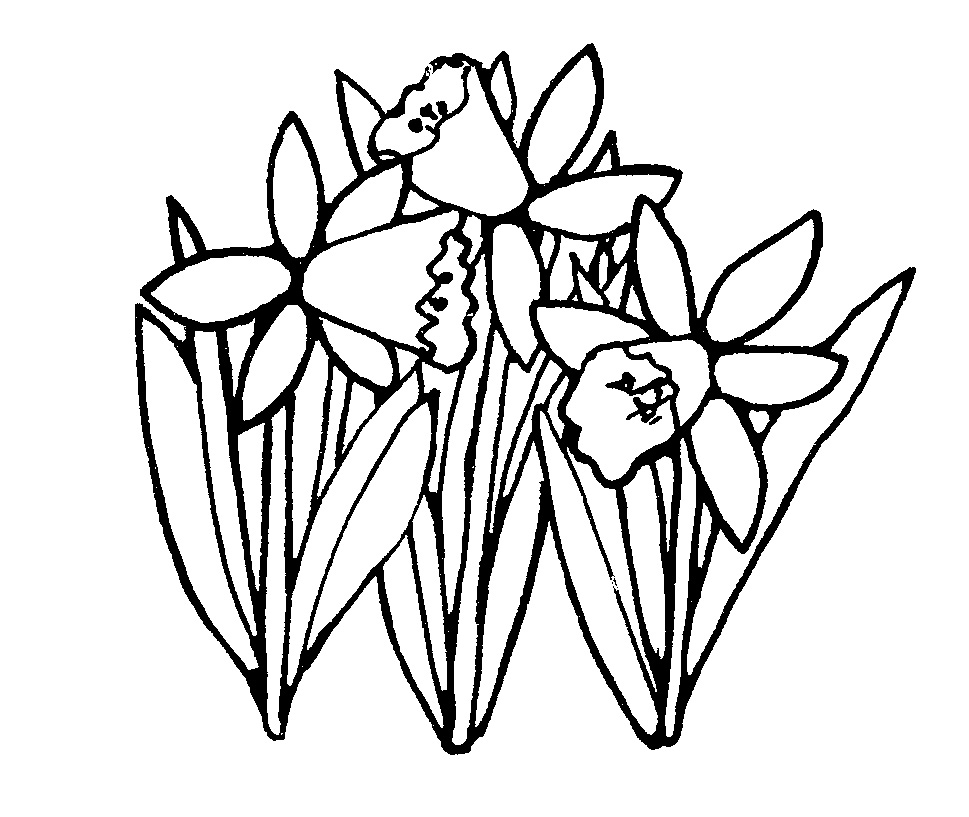 Free spring flower black and white clipart