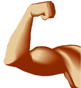 Body Muscles Clipart