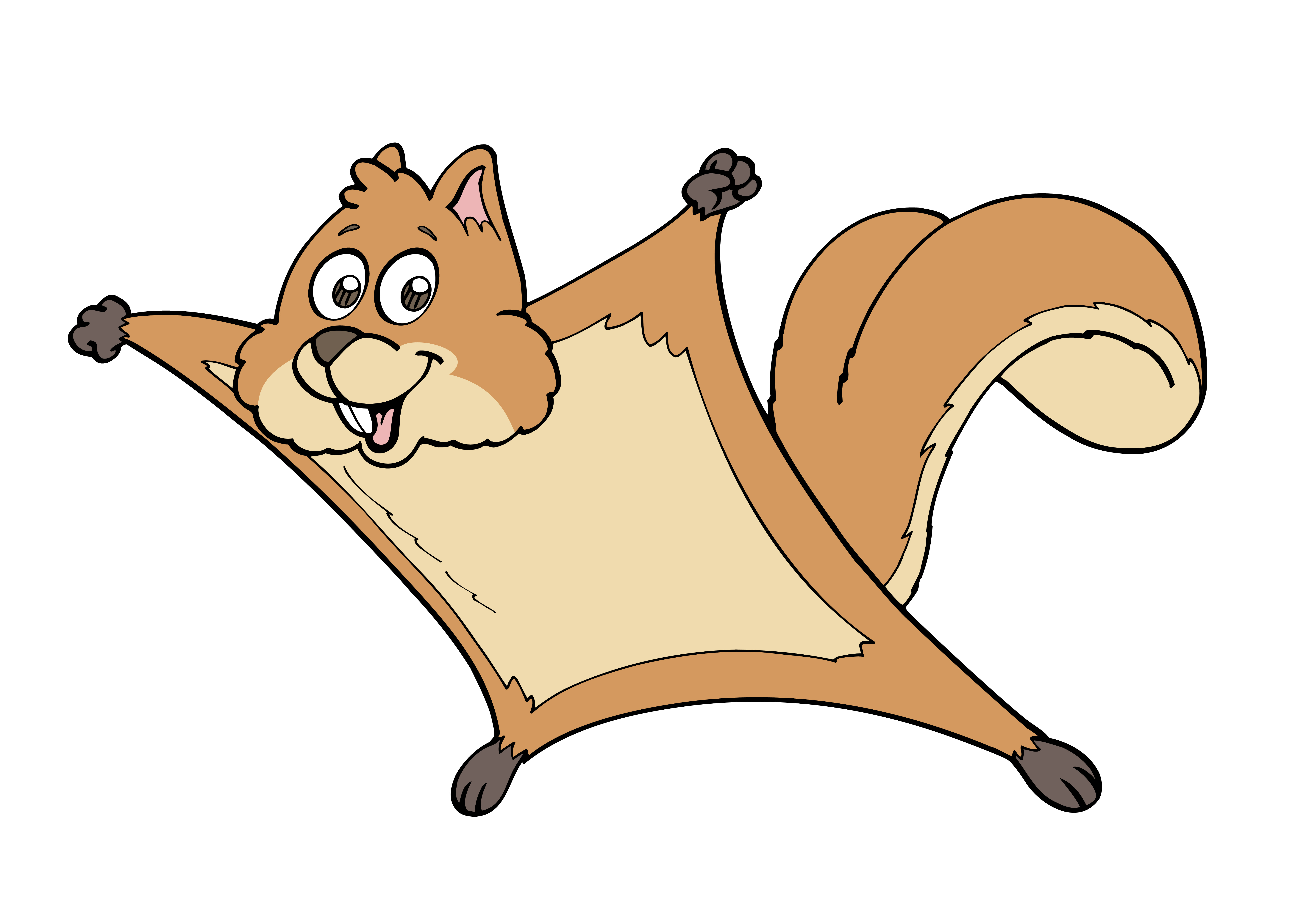 Squirrel Cartoon Images | Images Guru