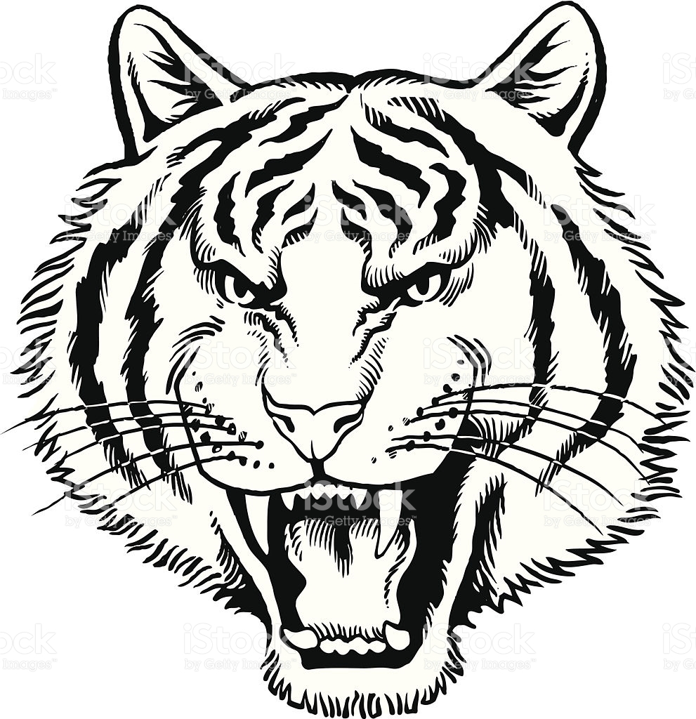 tiger clip art black and white - photo #44