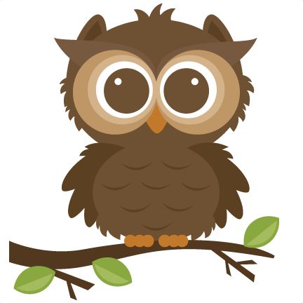 Free owl clipart cute
