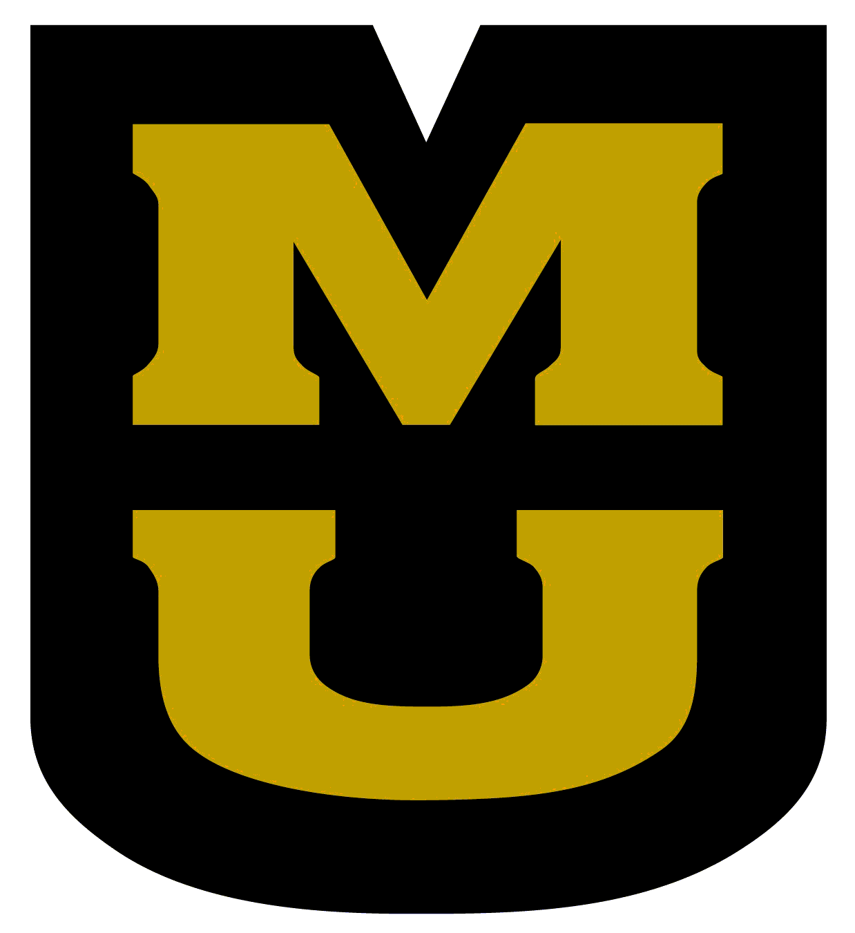 Nuclear Science and Engineering Institute, Mizzou