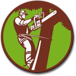 454 views Tree Trimming in Rosenberg | Eddie's Tree Services | 281-242-8559