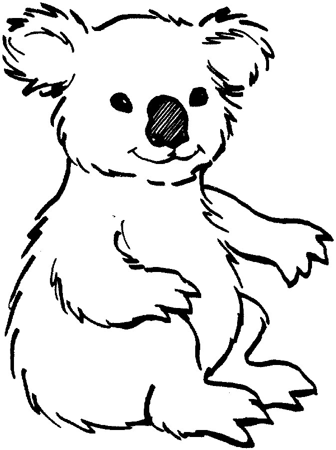 Baby quoala bear clipart outline