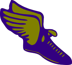 Flying Shoes Logo