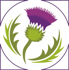 Welcome to the Thistle Patch