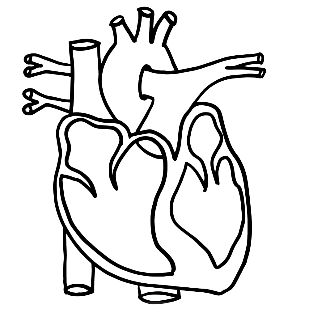 Black And White Heart Diagram Unlabeled ClipArt Best