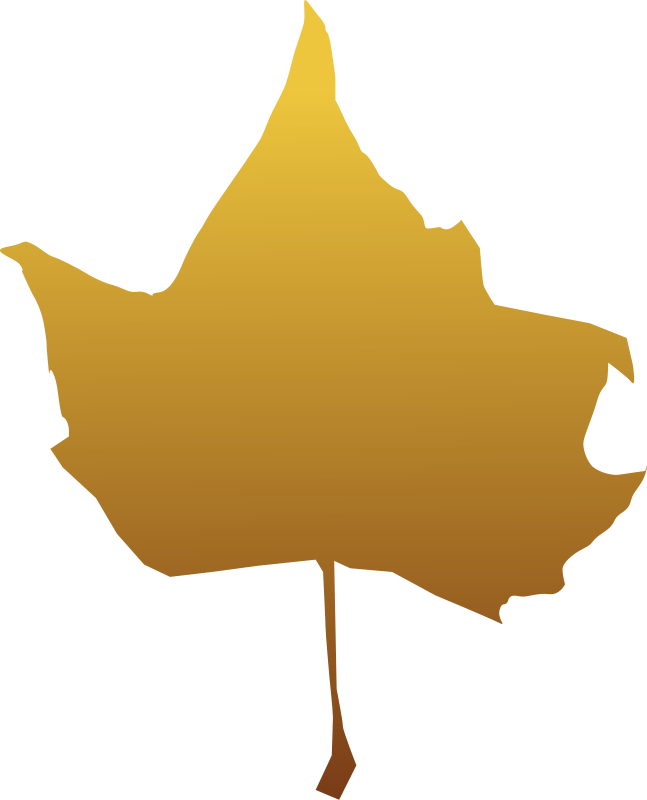 Maple leaf Free Vector