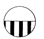 555 views Using the Microscope