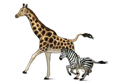 How to Draw Animals: Zebras and Giraffes