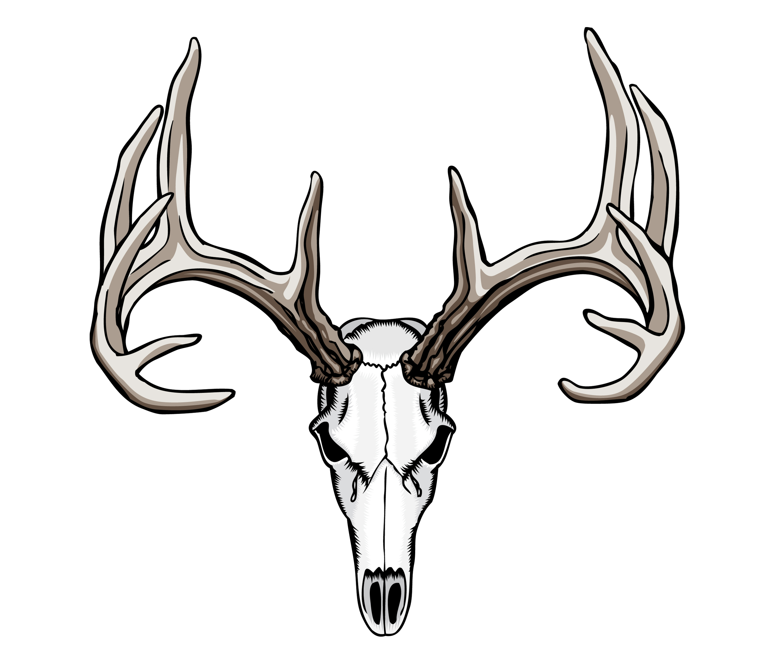 Deer Skull Drawing Clipart Panda Free Images Clipart - Free to use ...