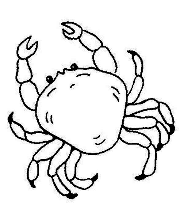 Colouring Pictures Sea Creatures - Coloring Pages
