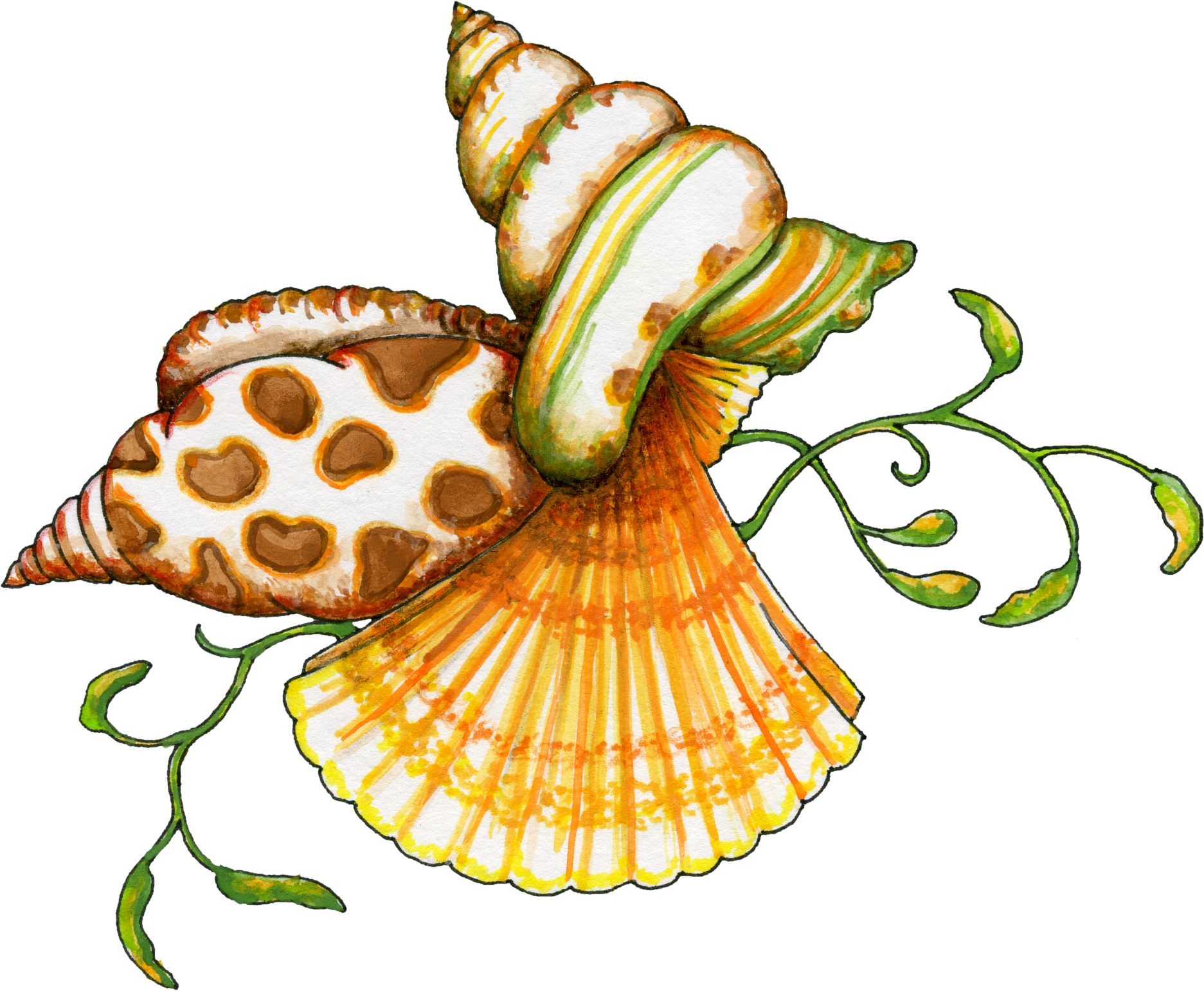 free clipart beach shells - photo #7