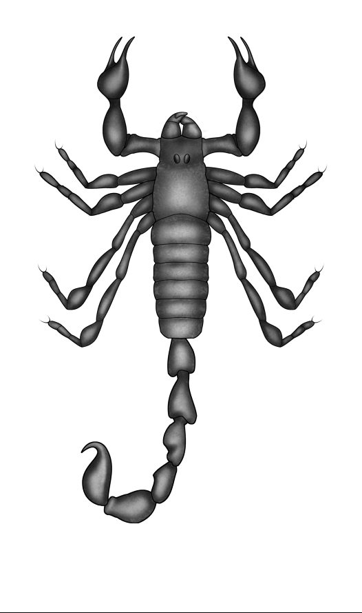 Scorpion Drawing - ClipArt Best