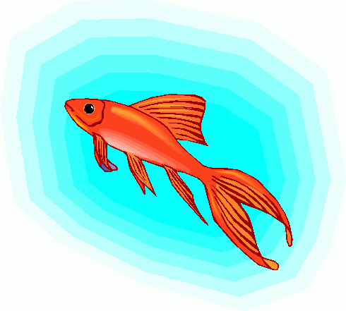 goldfish_1 clipart - goldfish_1 clip art