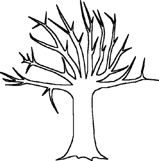 Tree Without Leaves Coloring Page - Tree Coloring Pages : Coloring ...