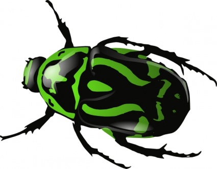 Green Beetle clip art vector, free vector images