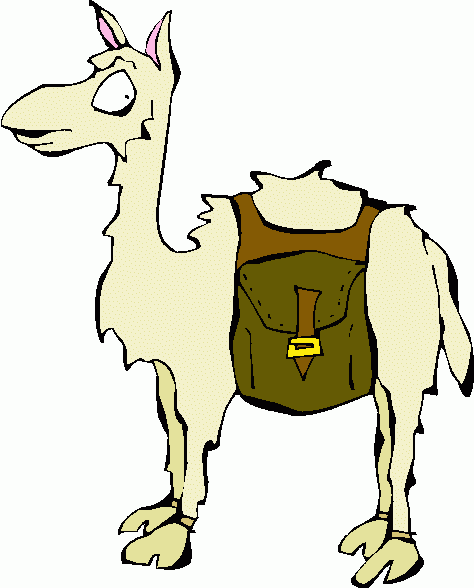 Clipart Cartoon Llama