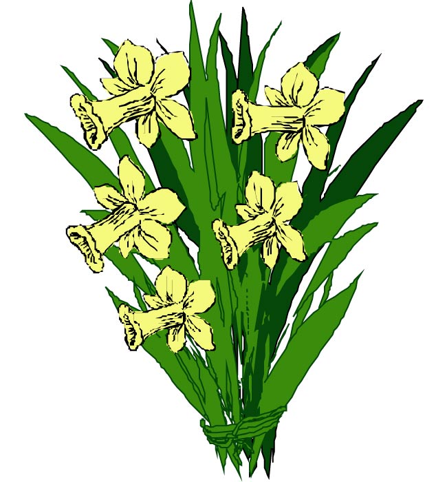 Free Flower Bouquets Clipart - Mixed Flower Bouquets images