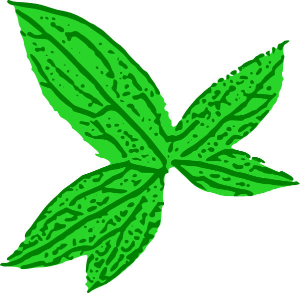 Green Leaf clip art Free Vector