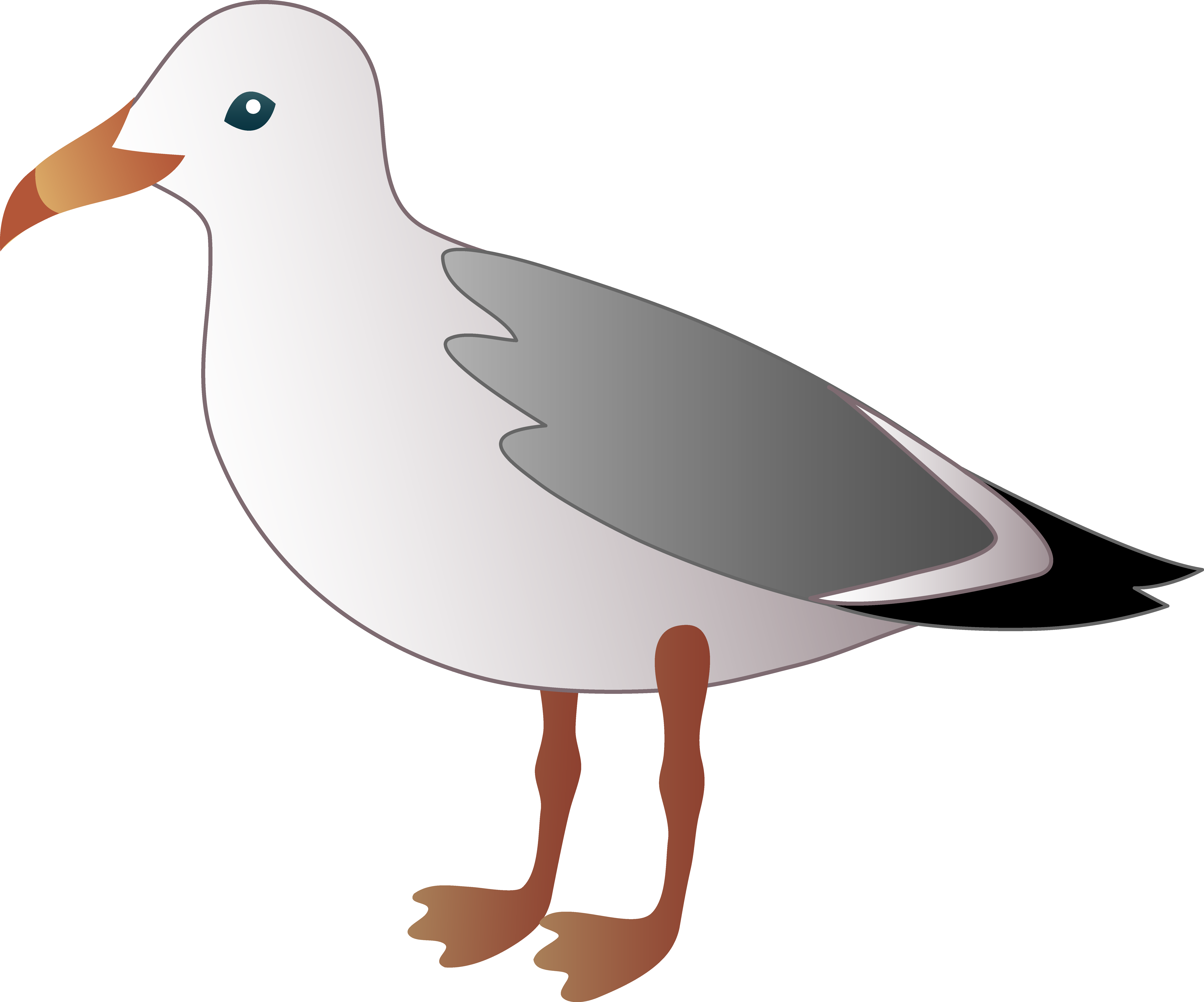 free clip art seagull cartoon - photo #1