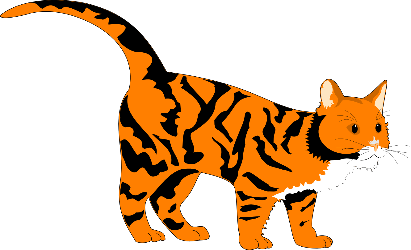 tiger cat clipart - photo #8