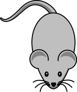 Light Grey Mouse clip art - vector clip art online, royalty free ...