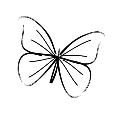 Simple Butterfly Drawing ...