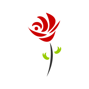 Flower Clipart - Red Depressed Rose with White Background ...