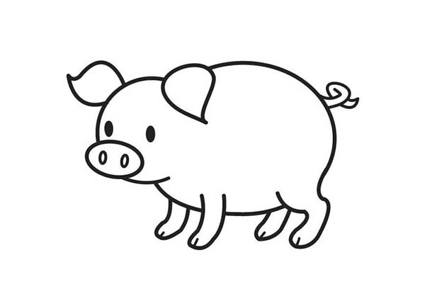 Cute Pig Coloring Pages - CartoonRocks.com
