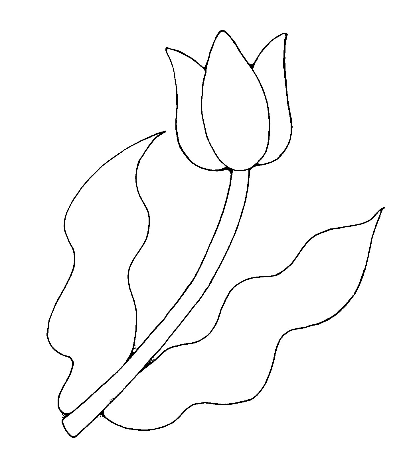Tulip Clipart Black And White