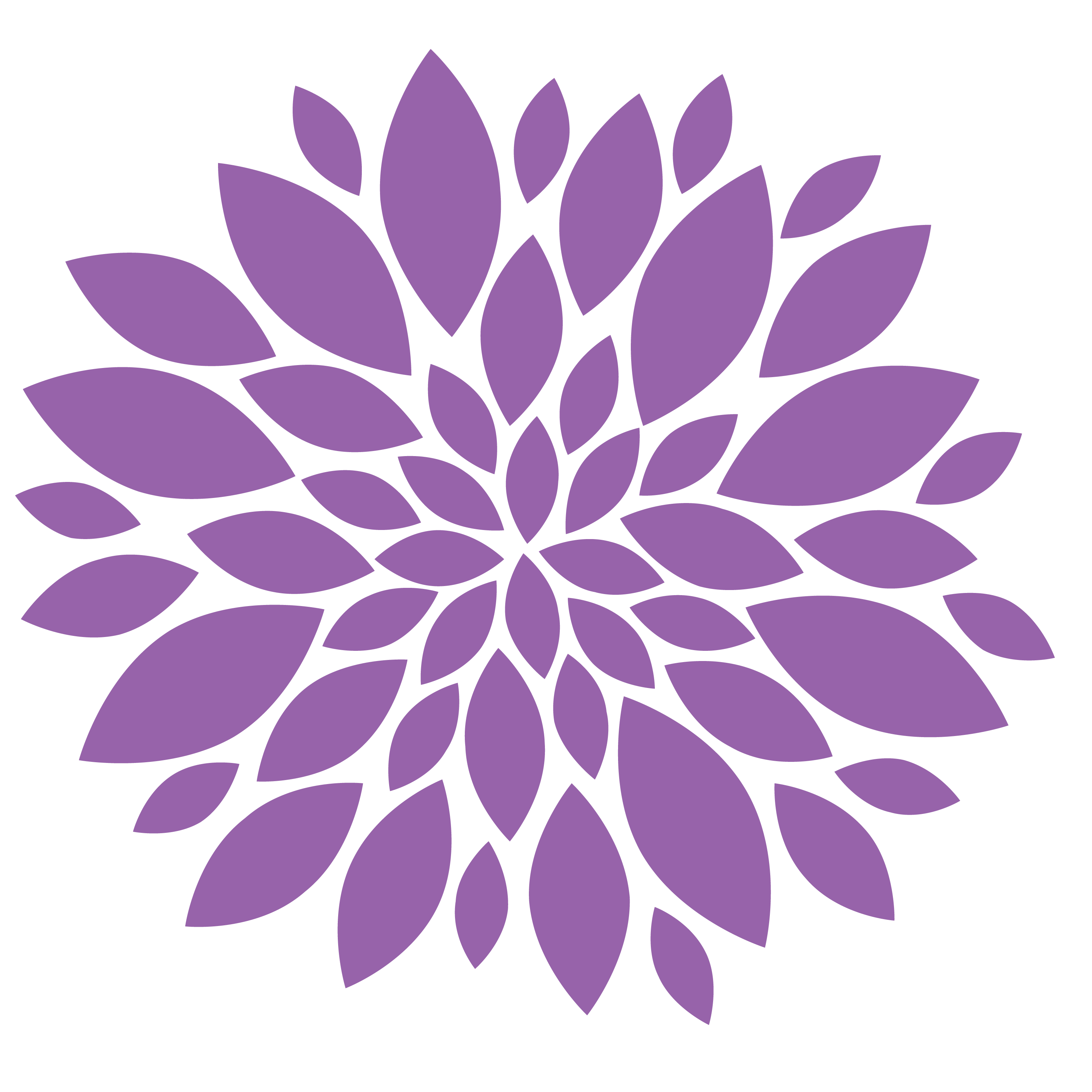 flower purple