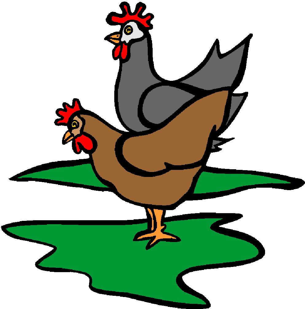Chickens clip art | DownloadClipart.org
