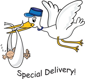 Clipart stork with baby