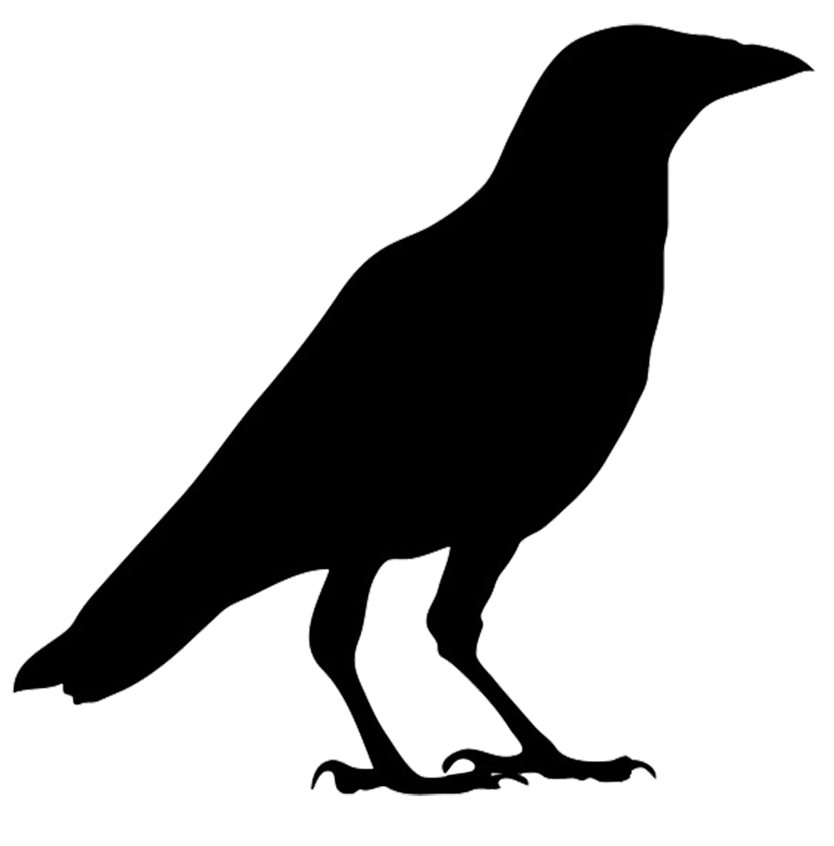 Crow Template Clipart