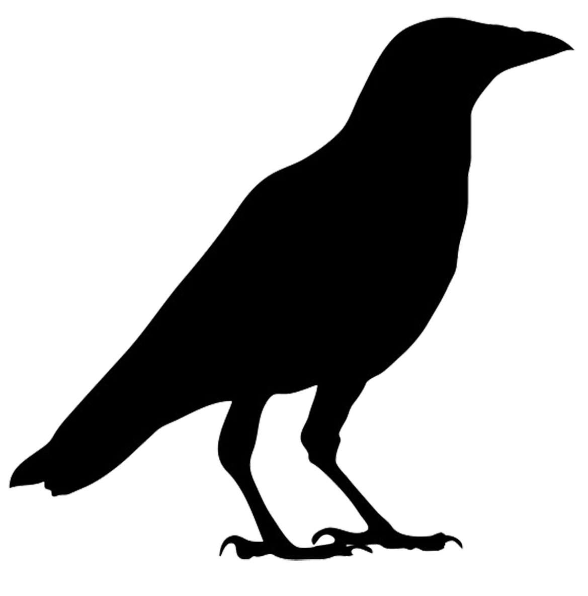 Bird Crow Clipart