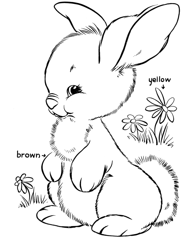 Bunny Rabbits Coloring Pages - AZ Coloring Pages