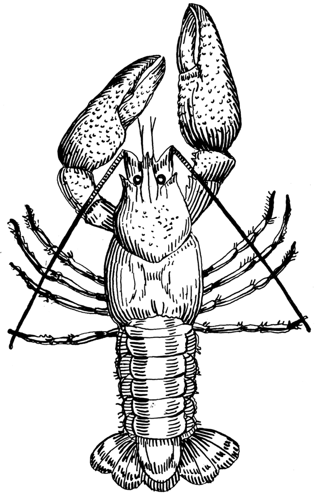 Crawfish (PSF).png