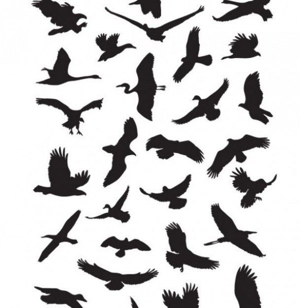 flying birds silhouettes graphics vector pack | Download free Vector