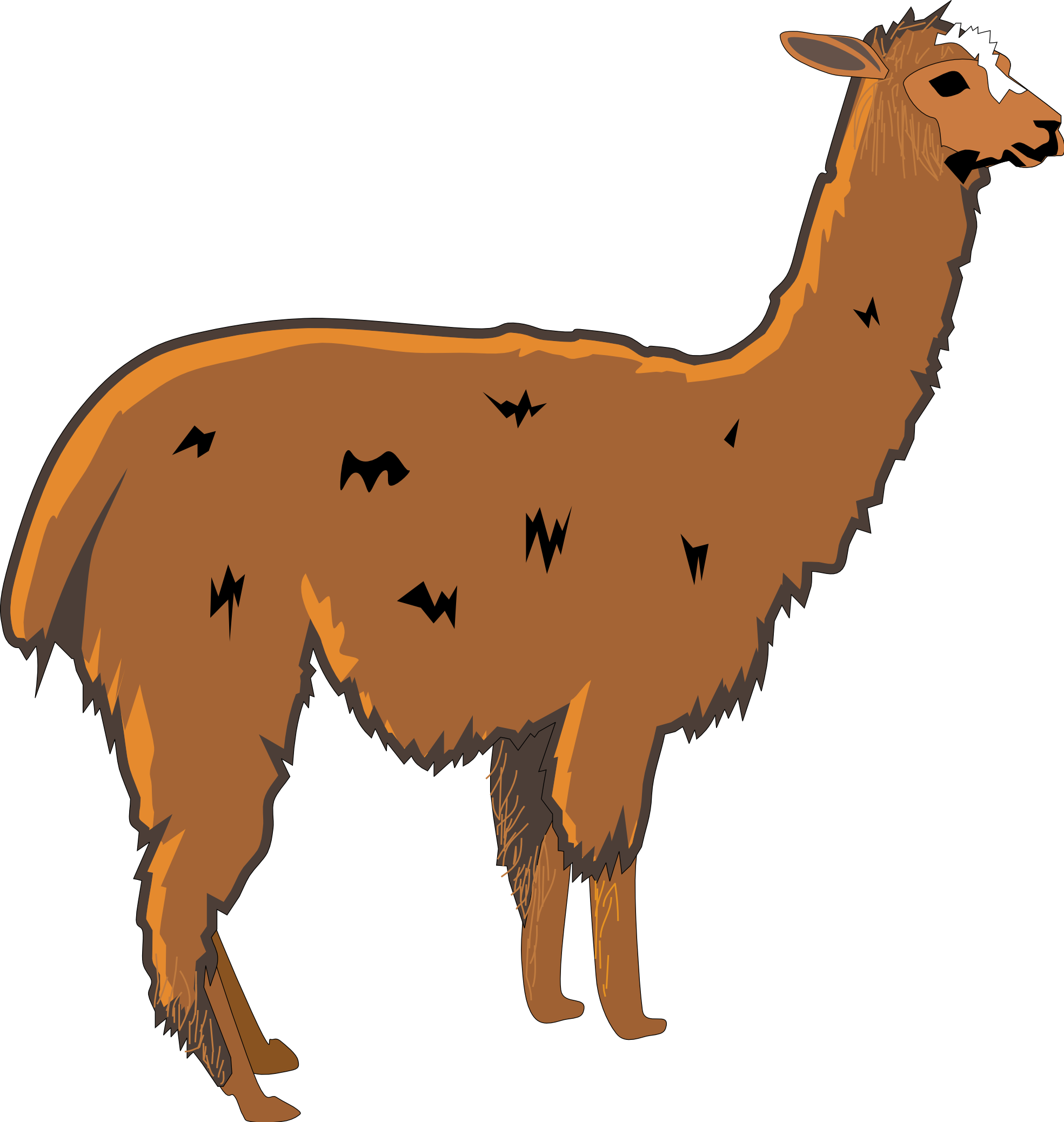 Alpaca cartoon clipart