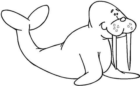 Smiling Walrus coloring page | Free Printable Coloring Pages
