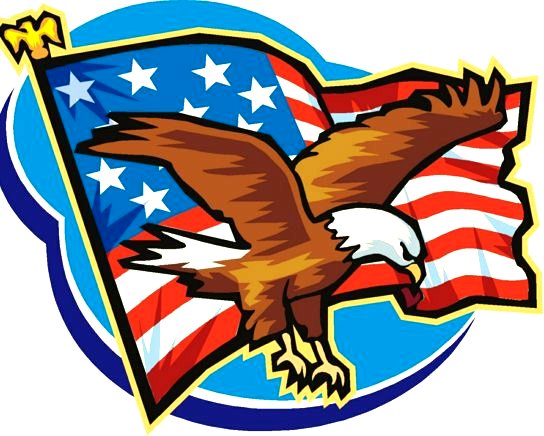 USA Flag and Eagle Cartoon Decal - Custom Wall Graphics